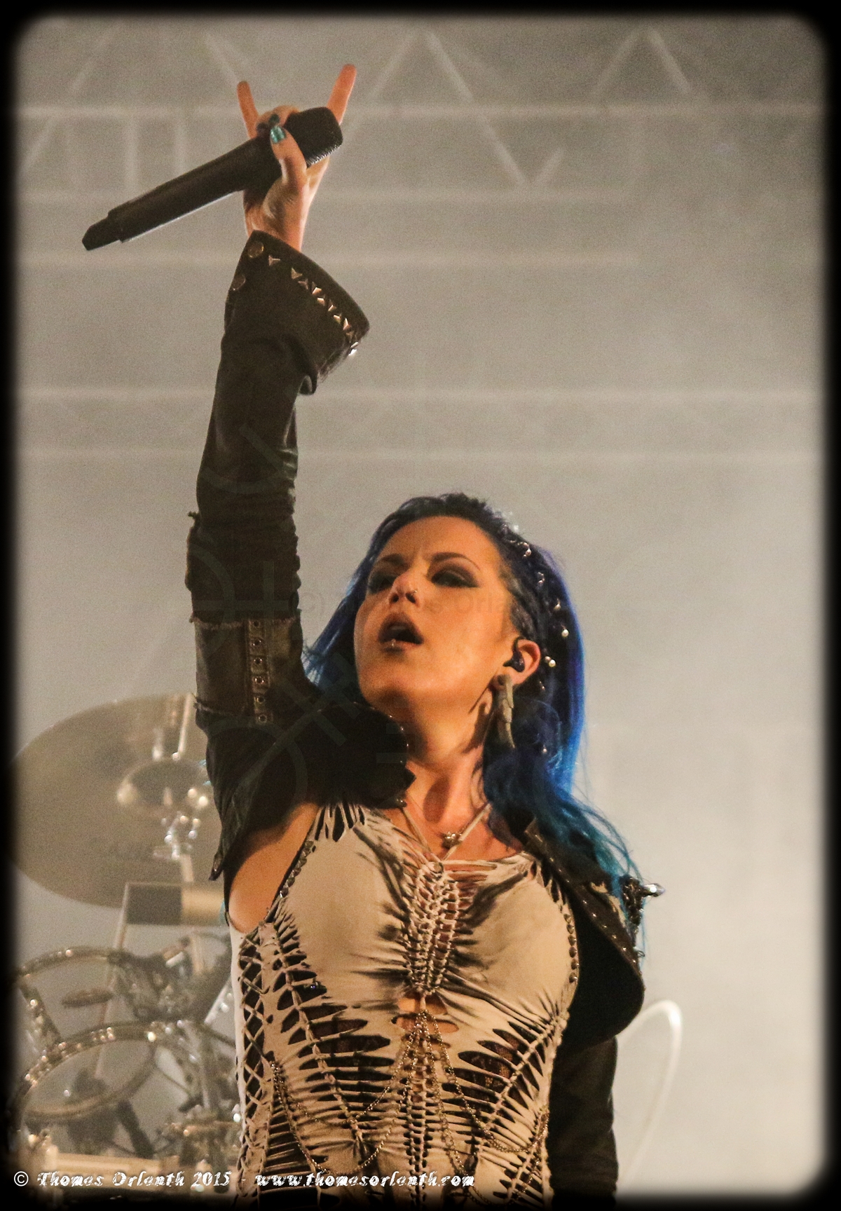 Read more about the article Arch Enemy au Hellfest 2015